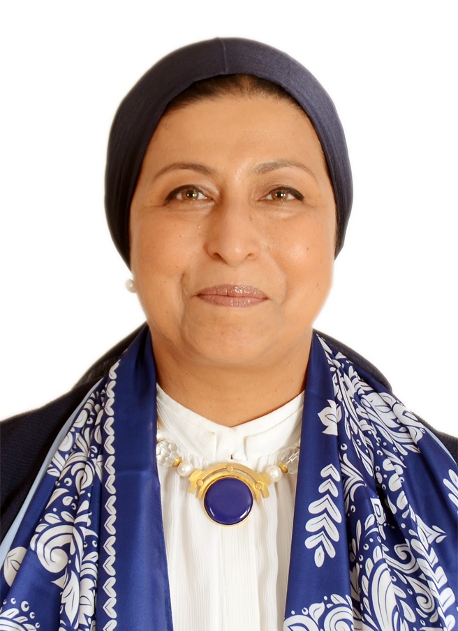 Tahani Moustafa Sileet, Project Director